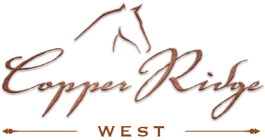 Copper Ridge Logo